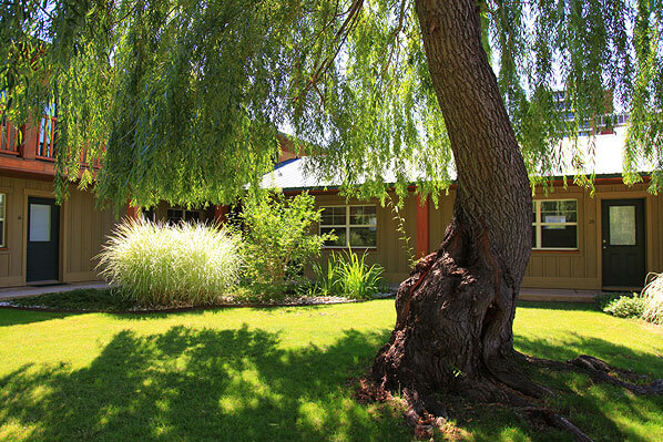 View of Boulder apartments from under a shady tree.